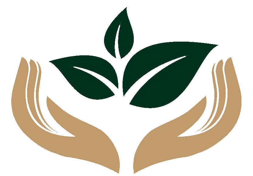 LSI3 PROPERTIES, LLC